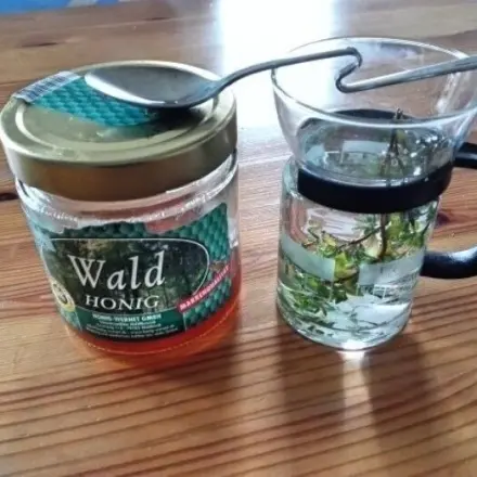 Thymiantee gegen Schnupfen