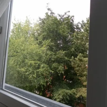 Fenster blitze blank ... aber wie?