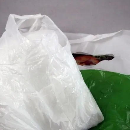 Abreißbeutel vom Obst- & Gemüseeinkauf weiterverwenden