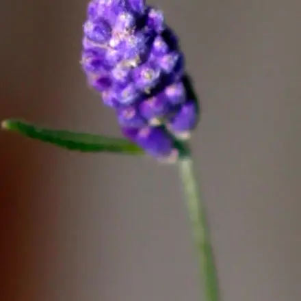 Schneller einschlafen