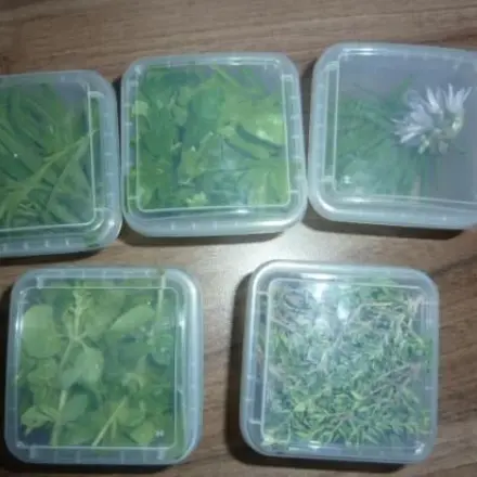 Eisbecher zweckentfremdet