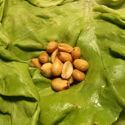 Grüner Salat mit Erdnüssen