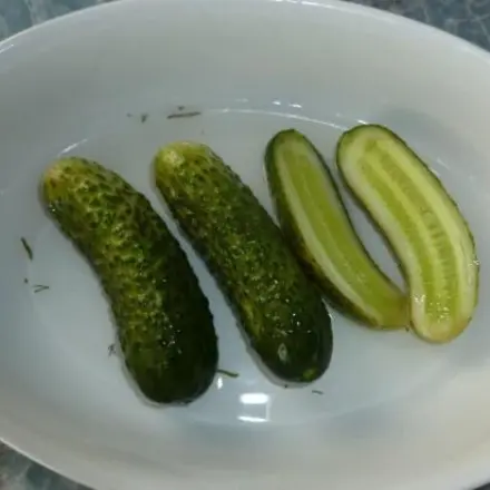 Salz-Dill-Gurken auf einfache Art selbst eingelegt
