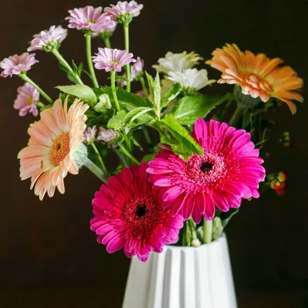 Pfefferminze als Blumenstrauß Grundlage