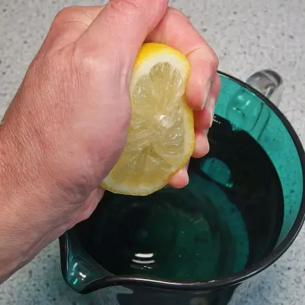 Sommer-Durstlöscher