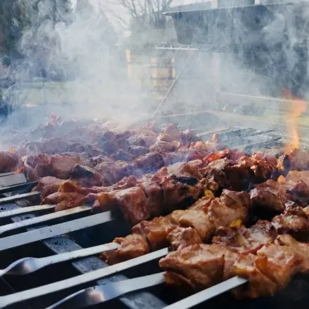 Schaschlik nach Familienart