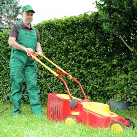 Hecke schneiden und sich das Kehren sparen