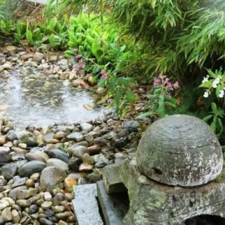 Hundepool für den Garten