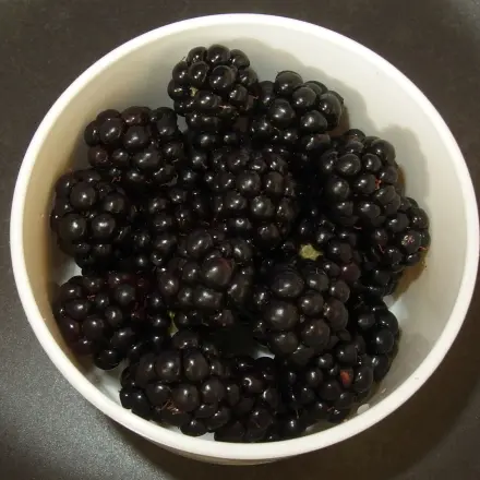 Beeren entsaften a la Oma, ohne einen "richtigen" Entsafterapparat