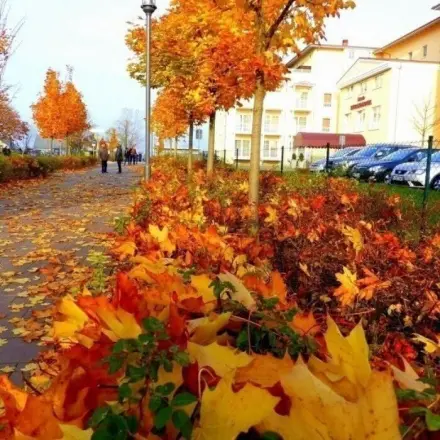 Tipps gegen Erkältung