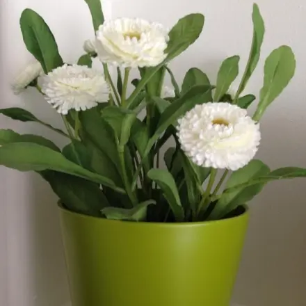 Kunstblumen waschen