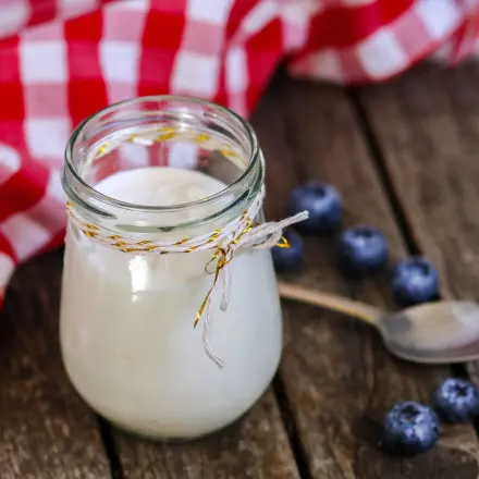 Naturjoghurt selbstgemacht