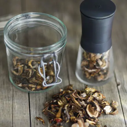 Ein paar Ideen für getrocknete Steinpilze