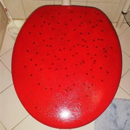 Klobrille / WC Sitz / Aus ALT mach NEU