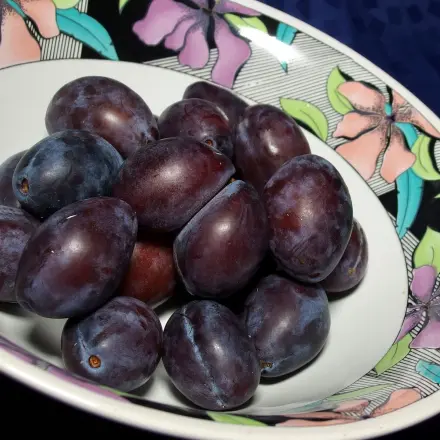 Pflaumenkompott ohne Zucker