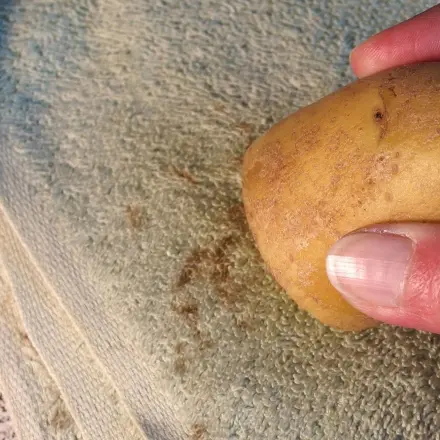 Jodflecken einfach entfernen