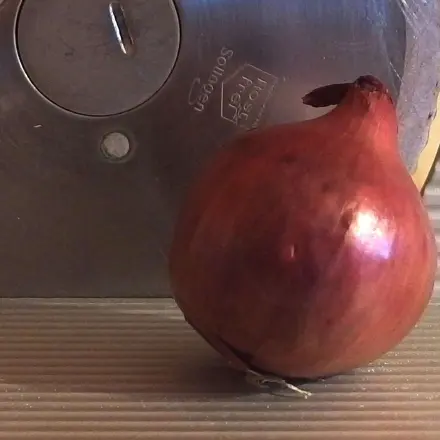 Zwiebeln mit Brotschneidemaschine schneiden