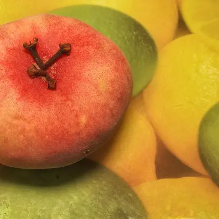 Fruchtfliegen loswerden