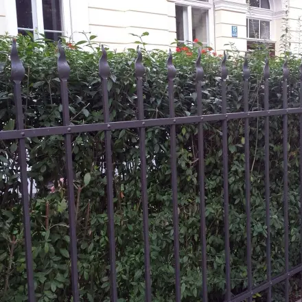 Weniger Heckenschnitt durch Plastiksack