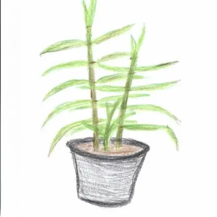 Erkältungszeit - Ingwertee noch anders