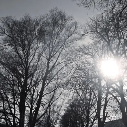 Angstfrei allein als Frau unterwegs