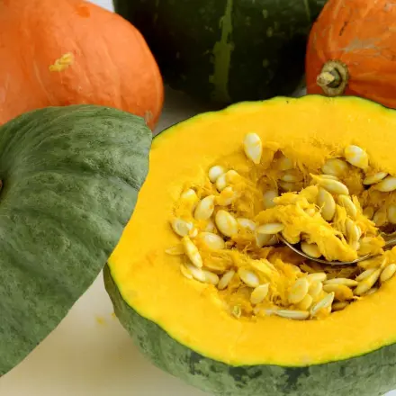 Kürbis zerkleinern