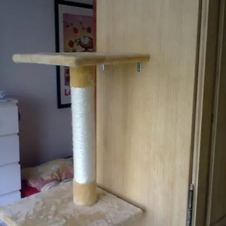 Eine Ebene zum Klettern für Katzen