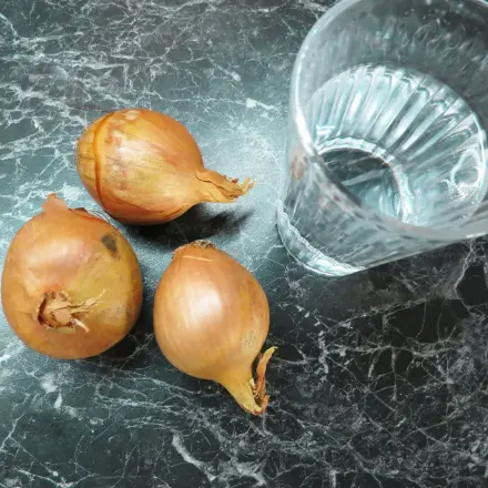 Zwiebeln - zum Weinen? Teil IV