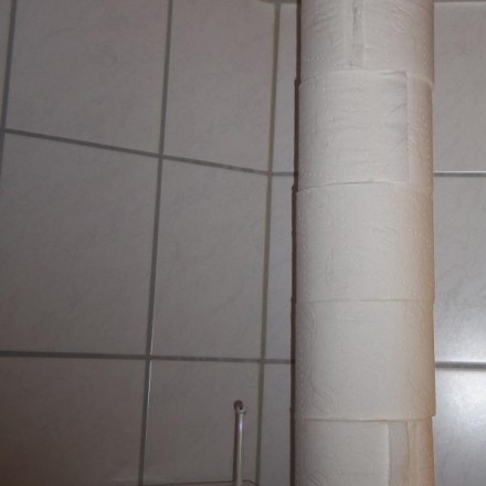 Toilettenpapierrollen aufbewahren