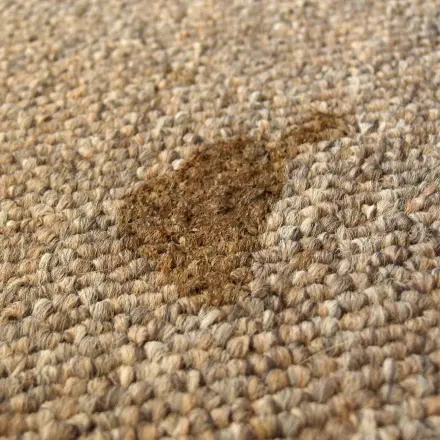 Flecken entfernen mit Küchen-Fettlöser