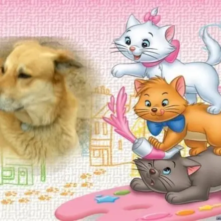 Weihnachtsgrüße: Weihnachtskarte mit Foto