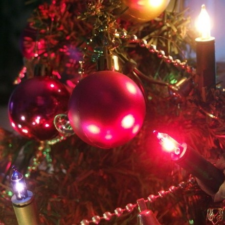 Weihnachtsbaum: Lichterkette anbringen