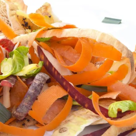 Vogelfutter: Obst- und Gemüseschalen