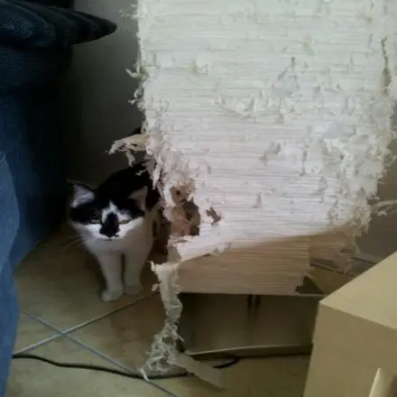 Lampenschirm erneuern