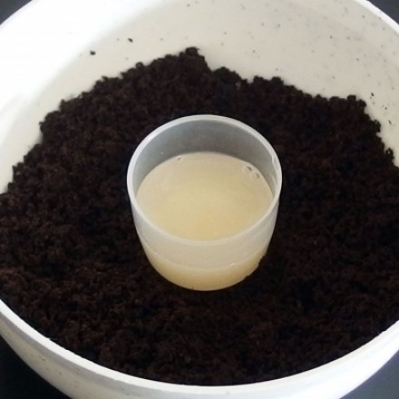 Peelingshampoo mit Kaffeesatz