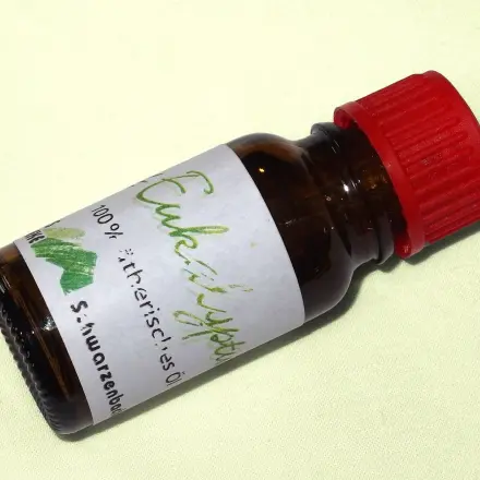 Eukalyptusöl bei Kopfschmerzen