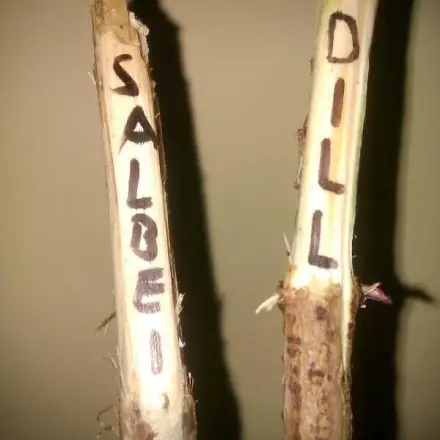 Kräutergarten Beschriftung mit Stöcken