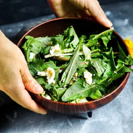 Frühlingssalat mit Löwenzahn