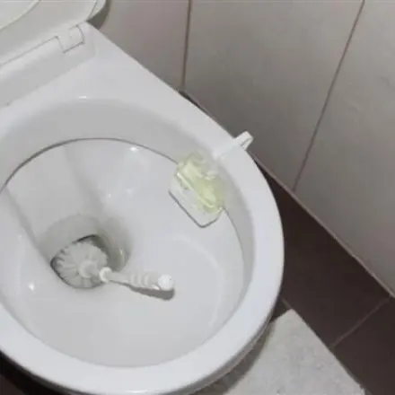 WC Bürsten reinigen