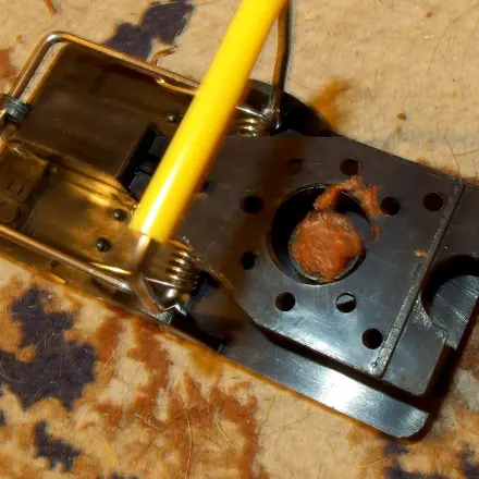 Ratten mit Erdnussbutter fangen