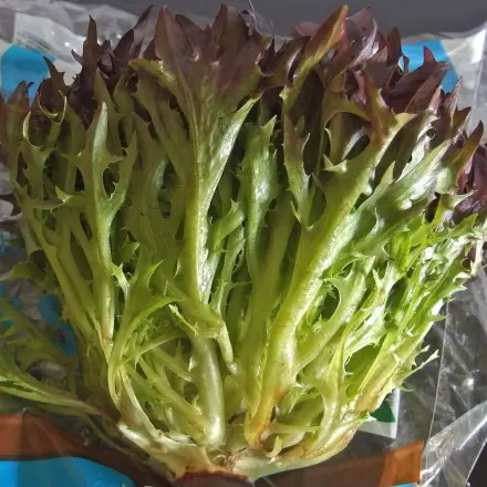 Kleiner Spar-Tipp für viele Tierhalter