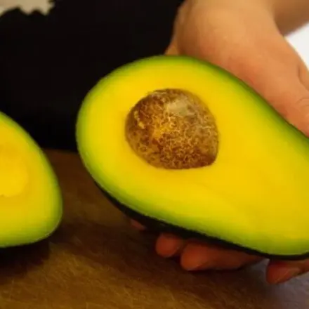 Avocado: Pflanze aus Avocadokern züchten