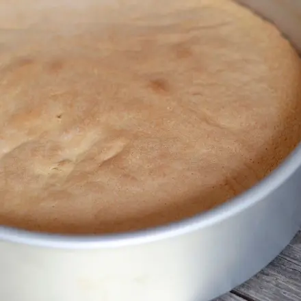Biskuitkuchen