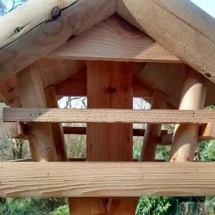 Vögel ganzjährig füttern