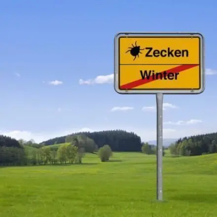Frühjahr, Sonne, Zeckenzeit - Irrtümer über Zecken