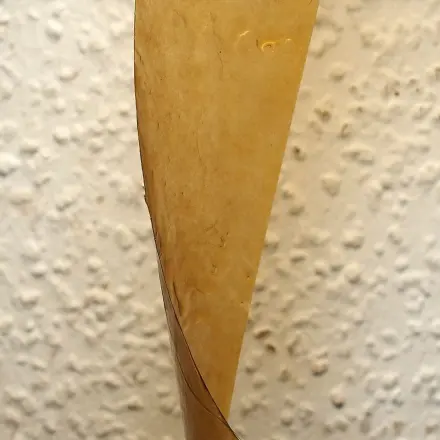 Kleber von Fliegenfalle entfernen