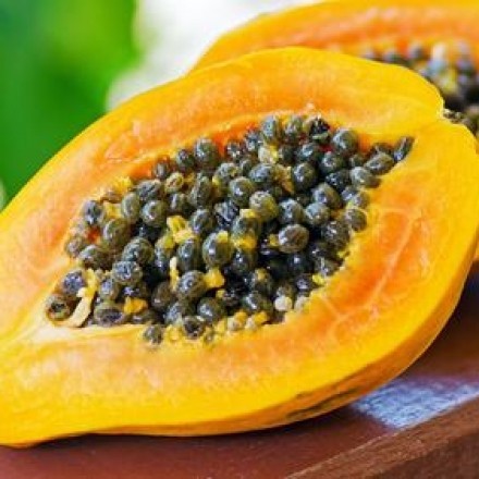Die Papaya - exotische Früchte