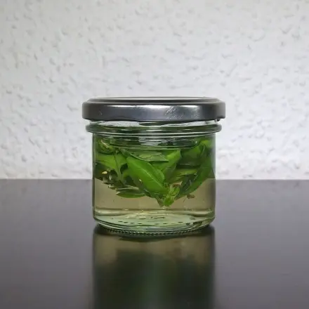 Basilikum aufbewahren und lange haltbar machen