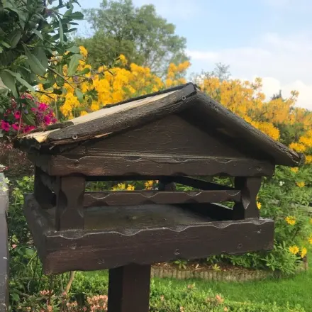 Buchtipp zum Vatertag