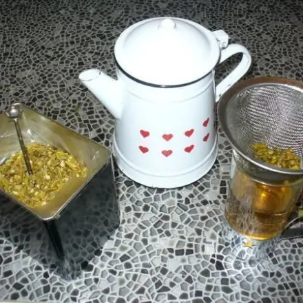 Frühjahrskur mit Misteltee